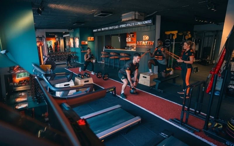 Profesyonel Grup Dersleri
